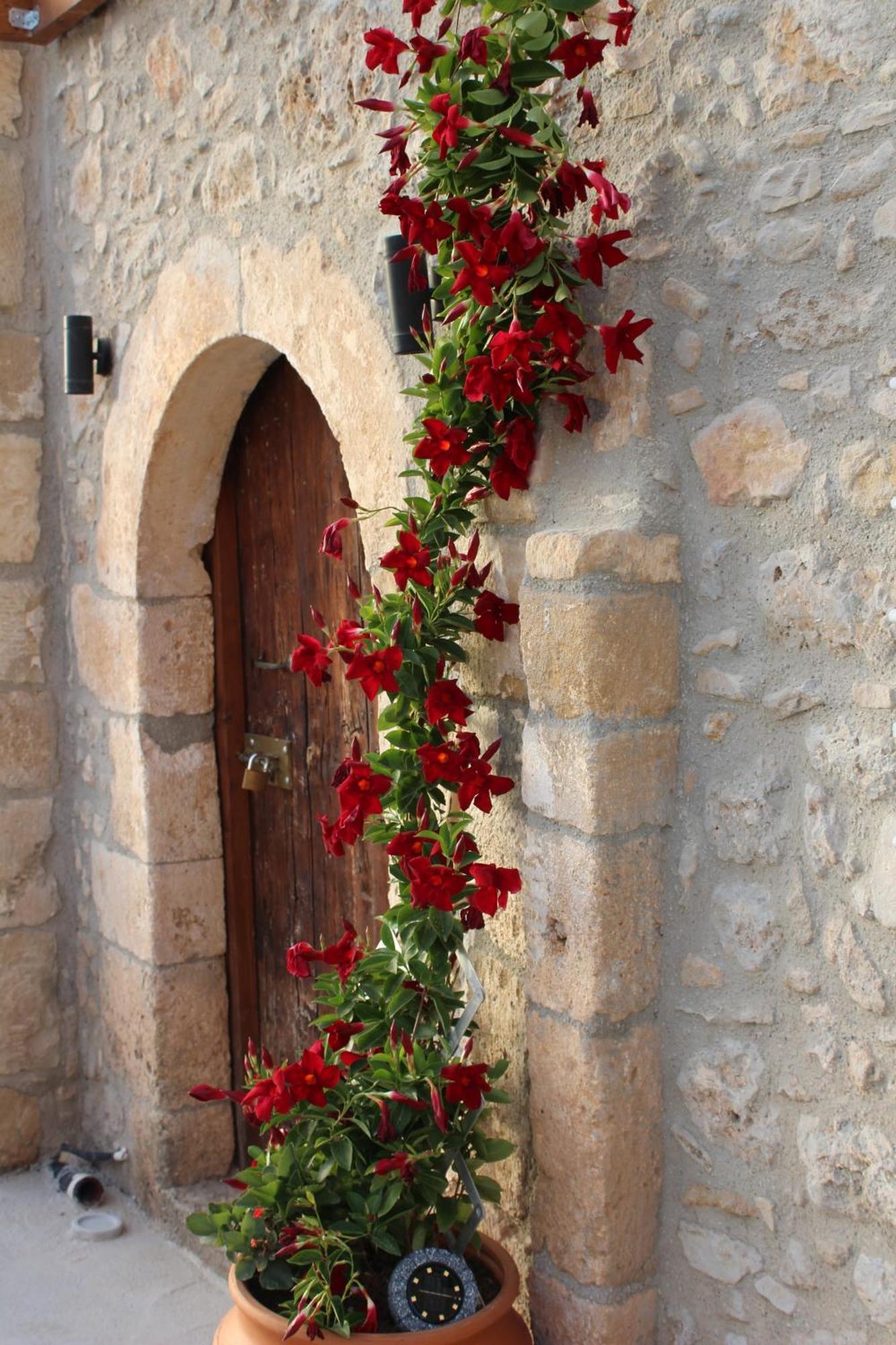 Trouli Rokka House Villa Kissamos Exterior photo